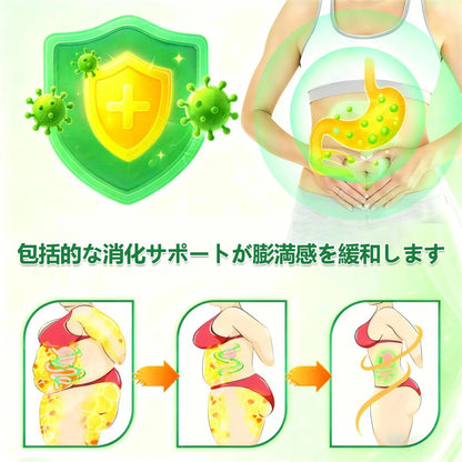 💎💎GeeLemon® NAD+ 8-in-1 ナノ処方✨ 気になる内臓脂肪・ボディラインを毎日サポート🌿